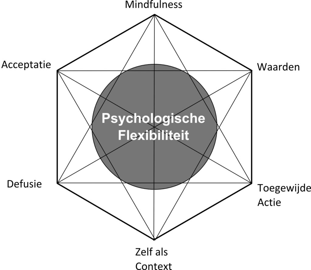 Hexaflex, de 6 pijlers van ACT (Acceptance and Commitment Therapy)